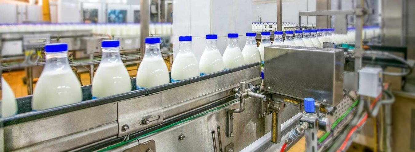 dairy industry bottling conveyor